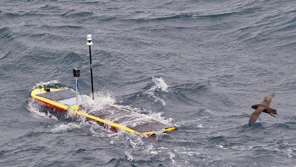 Image of a little raft with an antenna and a bird that is flying above